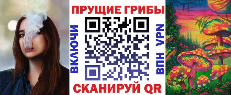 Псилоцибиновые грибы ЛСД  как найти наркотики  Лесосибирск 